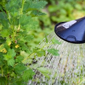 Arrêté préfectoral portant restriction provisoire des usages de l’eau : niveau alerte, sur l’ensemble du département du Doubs